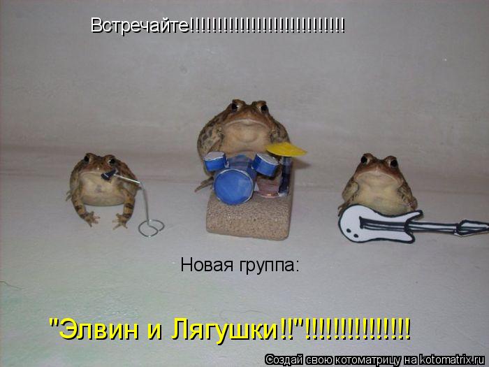 Встречайте!!!!!!!!!!!!!!!!!!!!!!!!!!!! Новая группа: "Элвин и Лягушки!!"!!!!!!!!!!!!!!!... Котоматрица: Встречайте!!!!!!!!!!!!!!!!!!!!!!!!!!!! Новая группа: "Элвин и Лягушки!!"!!!!!!!!!!!!!!!