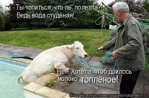 - Ты топиться, что ль, полезла?! Ведь вода студёная! - Нет! Хотела, чтоб доилось молоко топлёное!... Котоматрица: - Ты топиться, что ль, полезла?! Ведь вода студёная! - Нет! Хотела, чтоб доилось молоко топлёное!