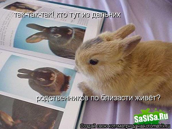 так-так-так! кто тут из дальних родственников по близасти живёт? так-так-так! кто тут из дальних род... Котоматрица: так-так-так! кто тут из дальних родственников по близасти живёт? так-так-так! кто тут из дальних родственников по близасти живёт?