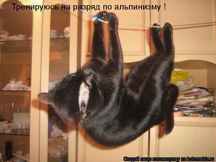 Тренируюсь на разряд по альпинизму !... Котоматрица: Тренируюсь на разряд по альпинизму !