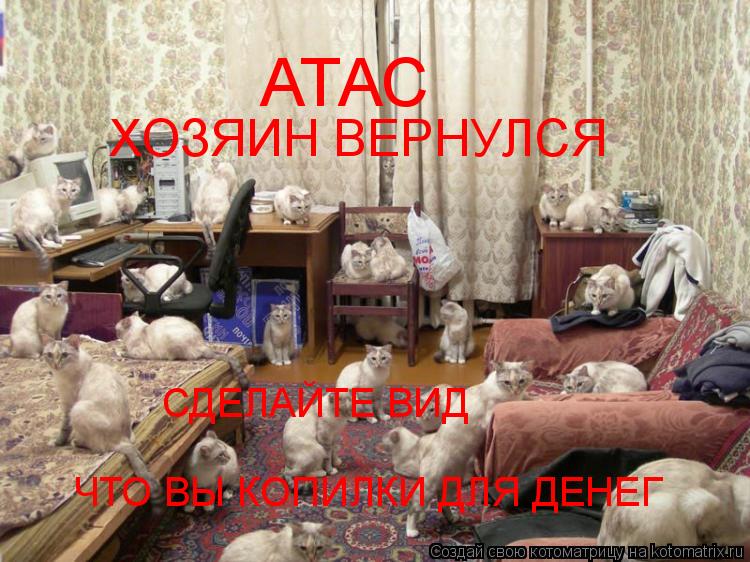 АТАС ХОЗЯИН ВЕРНУЛСЯ СДЕЛАЙТЕ ВИД ЧТО ВЫ КОПИЛКИ ДЛЯ ДЕНЕГ... Котоматрица: АТАС ХОЗЯИН ВЕРНУЛСЯ СДЕЛАЙТЕ ВИД ЧТО ВЫ КОПИЛКИ ДЛЯ ДЕНЕГ