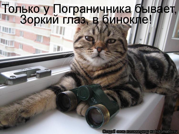 Только у Пограничника бывает, Зоркий глаз, в бинокле!... Котоматрица: Только у Пограничника бывает, Зоркий глаз, в бинокле!