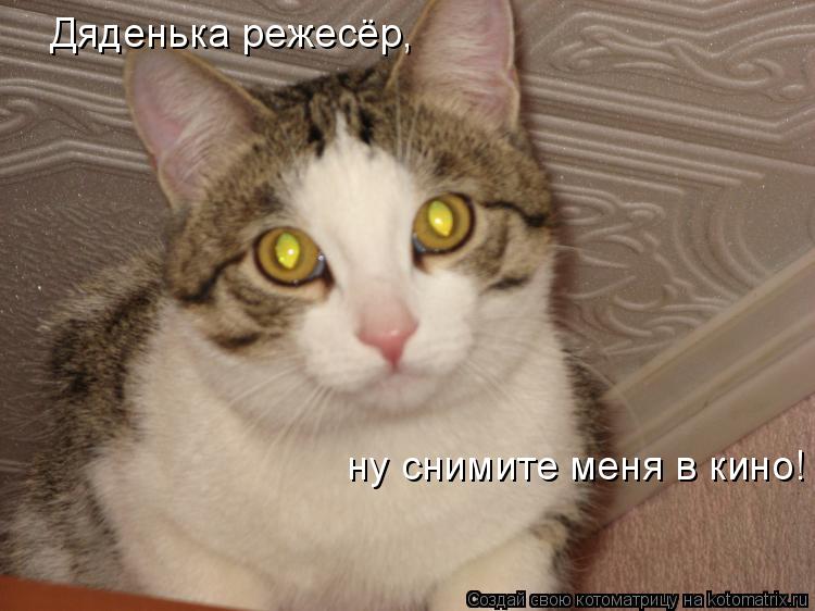 Дяденька режесёр, ну снимите меня в кино!... Котоматрица: Дяденька режесёр, ну снимите меня в кино!