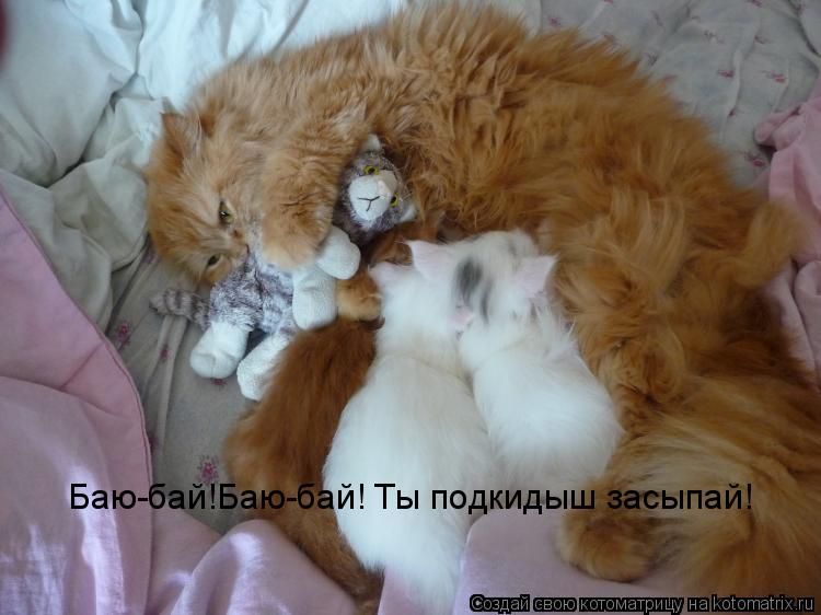 Баю-бай!Баю-бай! Ты подкидыш засыпай!... Котоматрица: Баю-бай!Баю-бай! Ты подкидыш засыпай!