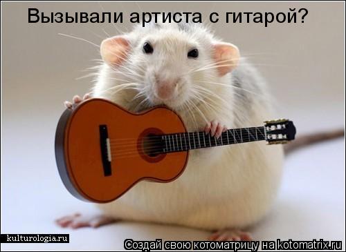 Вызывали артиста с гитарой?... Котоматрица: Вызывали артиста с гитарой?