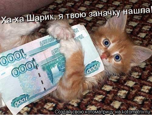 Ха-ха Шарик, я твою заначку нашла!... Котоматрица: Ха-ха Шарик, я твою заначку нашла!