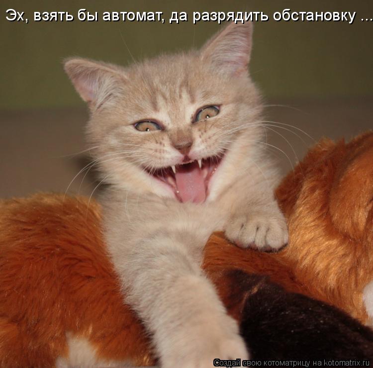 Эх, взять бы автомат, да разрядить обстановку ...... Котоматрица: Эх, взять бы автомат, да разрядить обстановку ...