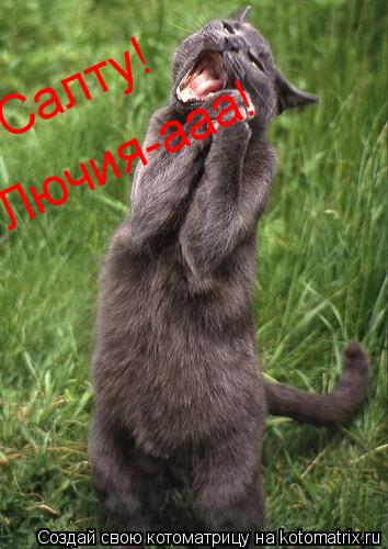 Салту! Лючия-ааа!... Котоматрица: Салту! Лючия-ааа!
