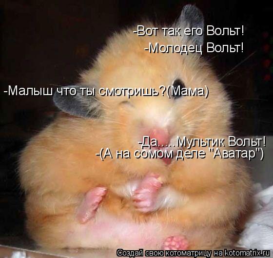 -Вот так его Вольт! -Молодец Вольт! -Малыш что ты смотришь?(Мама) -Да.....Мультик Вольт! -(А на сомом... Котоматрица: -Вот так его Вольт! -Молодец Вольт! -Малыш что ты смотришь?(Мама) -Да.....Мультик Вольт! -(А на сомом деле "Аватар")