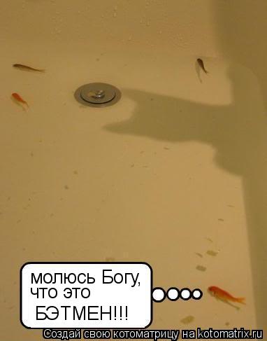 молюсь Богу, что это БЭТМЕН!!!... Котоматрица: молюсь Богу, что это БЭТМЕН!!!