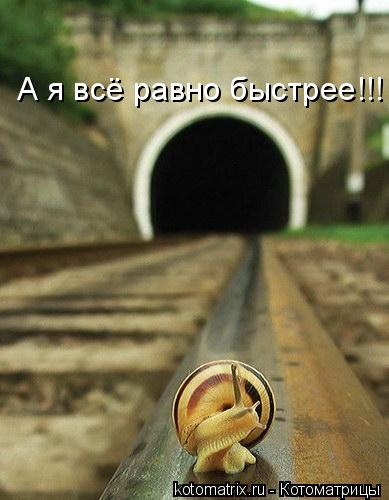 А я всё равно быстрее!!!... Котоматрица: А я всё равно быстрее!!!
