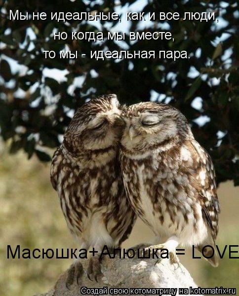 Мы не идеальные, как и все люди, но когда мы вместе, то мы - идеальная пара. Масюшка+Алюшка = LOVE... Котоматрица: Мы не идеальные, как и все люди, но когда мы вместе, то мы - идеальная пара. Масюшка+Алюшка = LOVE