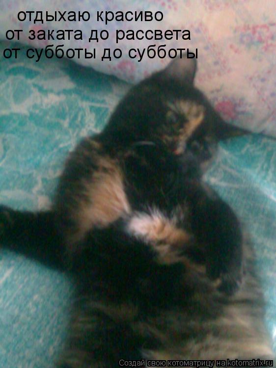 отдыхаю красиво от заката до рассвета от субботы до субботы... Котоматрица: отдыхаю красиво от заката до рассвета от субботы до субботы