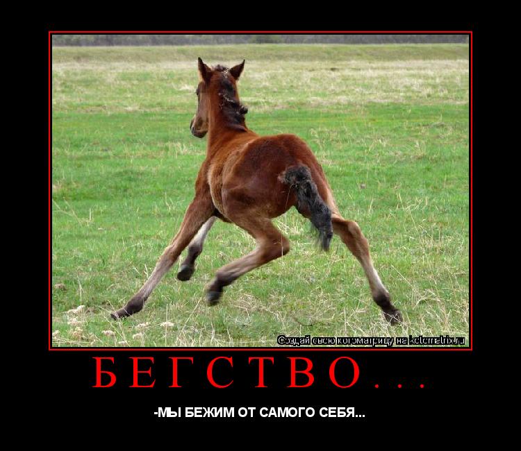 БЕГСТВО... -МЫ БЕЖИМ ОТ САМОГО СЕБЯ...... Котоматрица: БЕГСТВО... -МЫ БЕЖИМ ОТ САМОГО СЕБЯ...