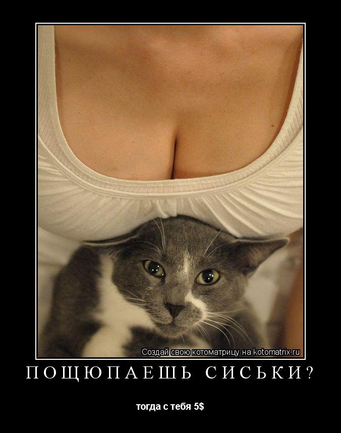 пощюпаешь сиськи? тогда с тебя 5$... Котоматрица: пощюпаешь сиськи? тогда с тебя 5$