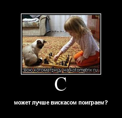 c может лучше вискасом поиграем?... Котоматрица: c может лучше вискасом поиграем?