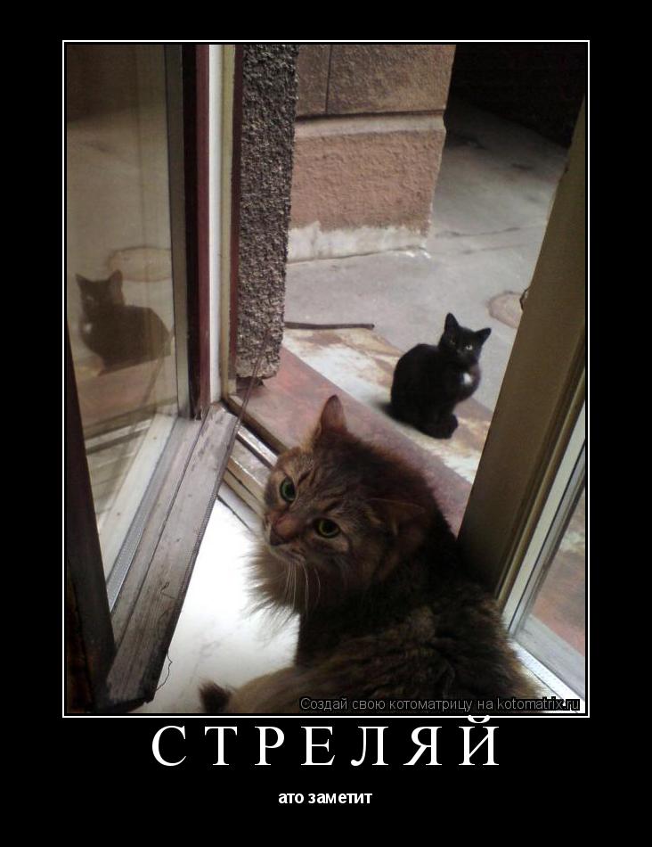 стреляй ато заметит... Котоматрица: стреляй ато заметит