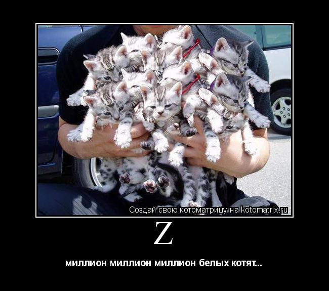 z миллион миллион миллион белых котят...... Котоматрица: z миллион миллион миллион белых котят...