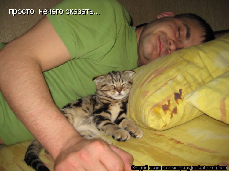 просто нечего сказать...... Котоматрица: просто нечего сказать...