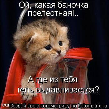 Ой, какая баночка прелестная!.. А где из тебя гель выдавливается?... Котоматрица: Ой, какая баночка прелестная!.. А где из тебя гель выдавливается?