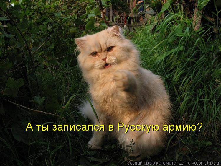 А ты записался в Русскую армию?... Котоматрица: А ты записался в Русскую армию?