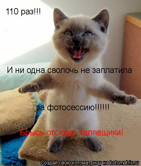 110 раз!!! И ни одна сволочь не заплатила за фотосессию!!!!!! Брысь отсюда, халявщики!... Котоматрица: 110 раз!!! И ни одна сволочь не заплатила за фотосессию!!!!!! Брысь отсюда, халявщики!