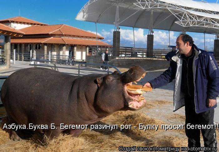 Азбука.Буква Б. Бегемот pазинул pот - Булку пpосит бегемот!!!... Котоматрица: Азбука.Буква Б. Бегемот pазинул pот - Булку пpосит бегемот!!!