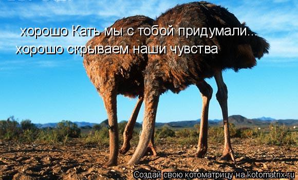 хорошо Кать мы с тобой придумали... хорошо скрываем наши чувства... Котоматрица: хорошо Кать мы с тобой придумали... хорошо скрываем наши чувства