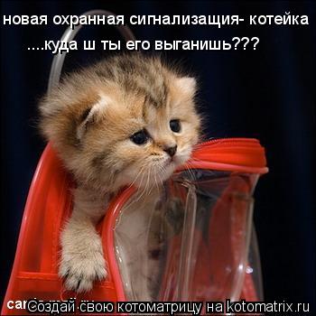 новая охранная сигнализащия- котейка ....куда ш ты его выганишь???... Котоматрица: новая охранная сигнализащия- котейка ....куда ш ты его выганишь???