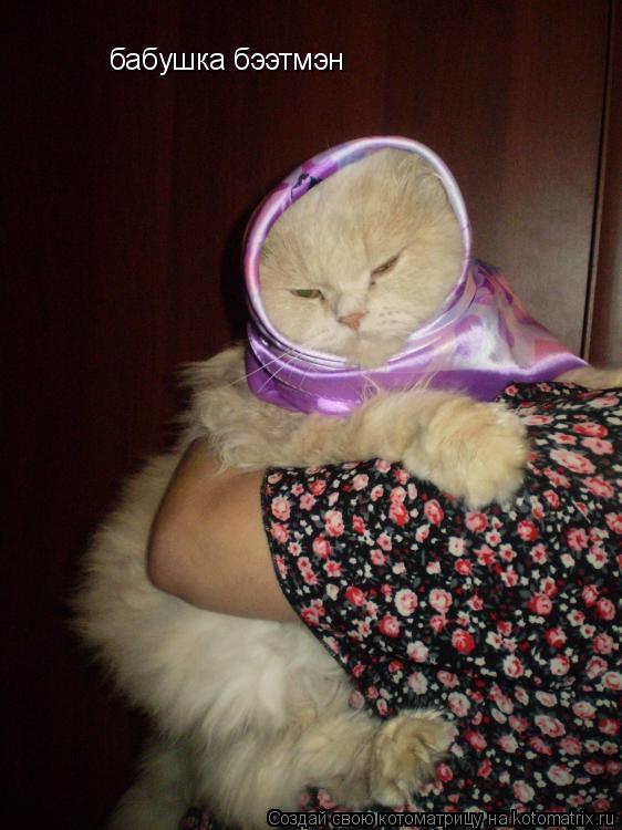бабушка бээтмэн... Котоматрица: бабушка бээтмэн