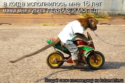 а когда исполнилось мне 16 лет мама мне купила FERRARI И МОПЕД... Котоматрица: а когда исполнилось мне 16 лет мама мне купила FERRARI И МОПЕД