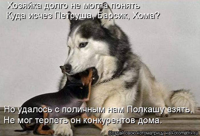 Хозяйка долго не могла понять Куда исчез Петруша, Барсик, Хома? Но удалось с поличным нам Полкашу взя... Котоматрица: Хозяйка долго не могла понять Куда исчез Петруша, Барсик, Хома? Но удалось с поличным нам Полкашу взять, Не мог терпеть он конкурентов дома.