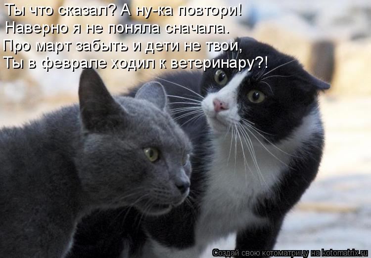 Ты что сказал? А ну-ка повтори! Наверно я не поняла сначала. Про март забыть и дети не твои, Ты в фев... Котоматрица: Ты что сказал? А ну-ка повтори! Наверно я не поняла сначала. Про март забыть и дети не твои, Ты в феврале ходил к ветеринару?!