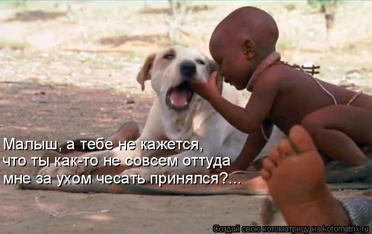 Малыш, а тебе не кажется, что ты как-то не совсем оттуда мне за ухом чесать принялся?...... Котоматрица: Малыш, а тебе не кажется, что ты как-то не совсем оттуда мне за ухом чесать принялся?...