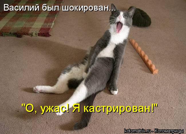 Василий был шокирован... "О, ужас! Я кастрирован!"... Котоматрица: Василий был шокирован... "О, ужас! Я кастрирован!"
