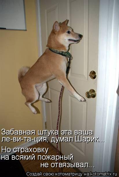 Забавная штука эта ваша Но страховку на всякий пожарный не отвязывал... ле-ви-та-ция, думал Шарик..... Котоматрица: Забавная штука эта ваша Но страховку на всякий пожарный не отвязывал... ле-ви-та-ция, думал Шарик...