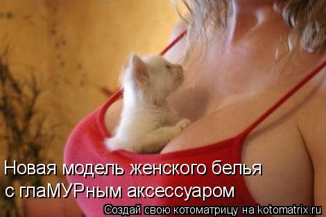 Новая модель женского белья с глаМУРным аксессуаром... Котоматрица: Новая модель женского белья с глаМУРным аксессуаром