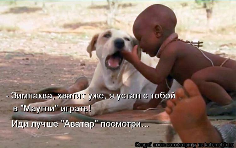 - Зимпаква, хватит уже, я устал с тобой в "Маугли" играть! Иди лучше "Аватар" посмотри...... Котоматрица: - Зимпаква, хватит уже, я устал с тобой в "Маугли" играть! Иди лучше "Аватар" посмотри...