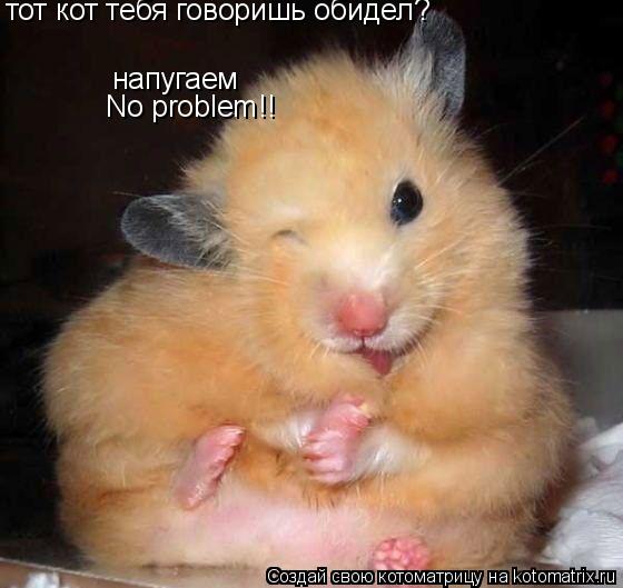 No problem!! тот кот тебя говоришь обидел? напугаем... Котоматрица: No problem!! тот кот тебя говоришь обидел? напугаем