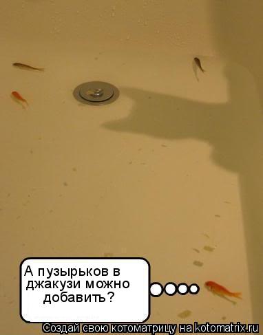 А пузырьков в джакузи можно добавить?... Котоматрица: А пузырьков в джакузи можно добавить?