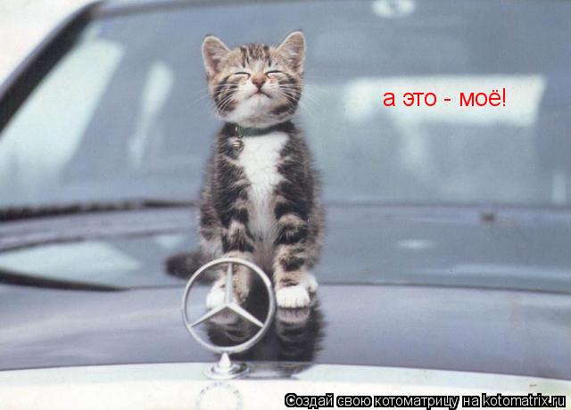 а это - моё! а это - моё!... Котоматрица: а это - моё! а это - моё!