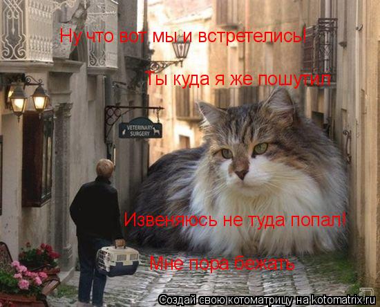 Ну что вот мы и встретелись! Извеняюсь не туда попал! Мне пора бежать Ты куда я же пошутил... Котоматрица: Ну что вот мы и встретелись! Извеняюсь не туда попал! Мне пора бежать Ты куда я же пошутил