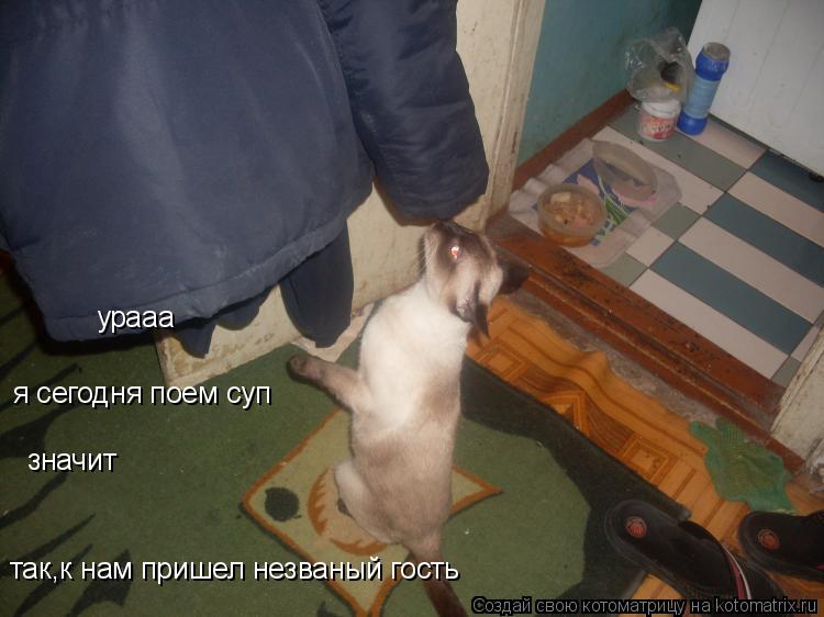 так,к нам пришел незваный гость значит я сегодня поем суп урааа... Котоматрица: так,к нам пришел незваный гость значит я сегодня поем суп урааа