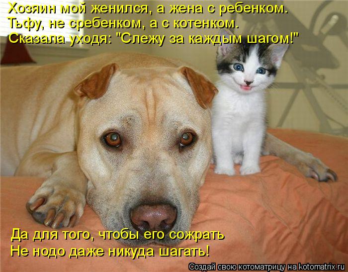 Хозяин мой женился, а жена с ребенком. Тьфу, не сребенком, а с котенком. Сказала уходя: "Слежу за каж... Котоматрица: Хозяин мой женился, а жена с ребенком. Тьфу, не сребенком, а с котенком. Сказала уходя: "Слежу за каждым шагом!" Да для того, чтобы его сожрать Н