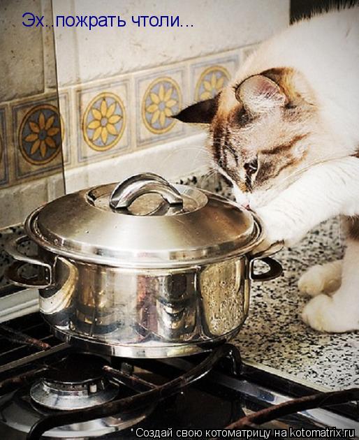Эх..пожрать чтоли...... Котоматрица: Эх..пожрать чтоли...