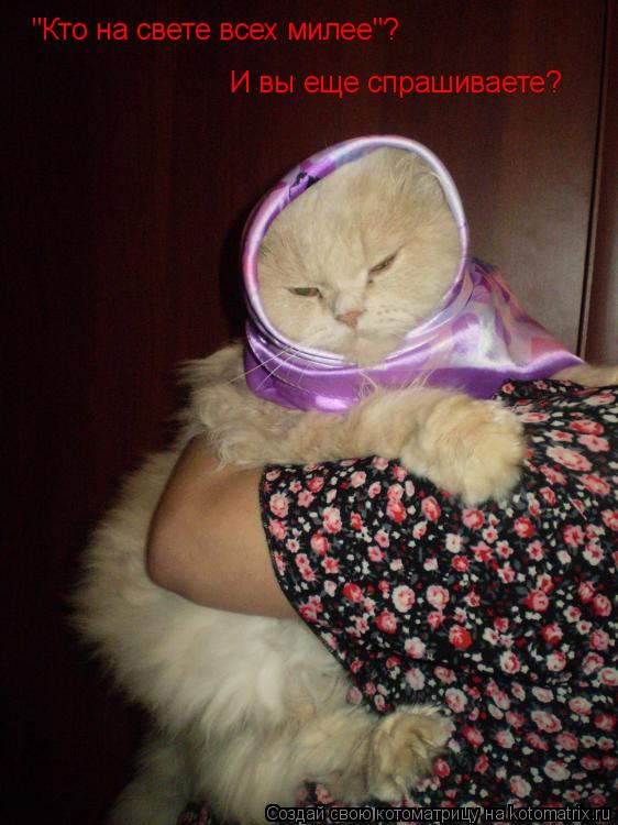 "Кто на свете всех милее"? И вы еще спрашиваете?... Котоматрица: "Кто на свете всех милее"? И вы еще спрашиваете?