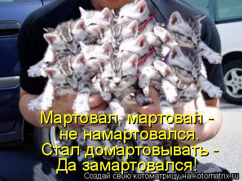 Мартовал, мартовал - не намартовался. Стал домартовывать - Да замартовался!... Котоматрица: Мартовал, мартовал - не намартовался. Стал домартовывать - Да замартовался!