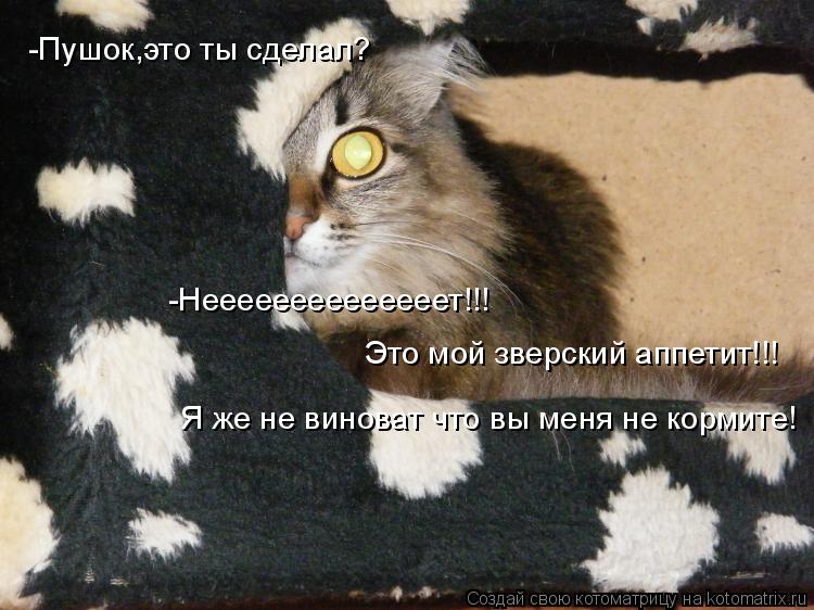 -Пушок,это ты сделал? -Пушок,это ты сделал? -Неееееееееееееет!!! Это мой зверский аппетит!!! Я же не ... Котоматрица: -Пушок,это ты сделал? -Пушок,это ты сделал? -Неееееееееееееет!!! Это мой зверский аппетит!!! Я же не виноват что вы меня не кормите!