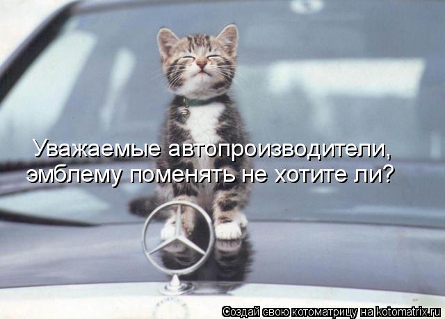 Котоматрица: Уважаемые автопроизводители, эмблему поменять не хотите ли?