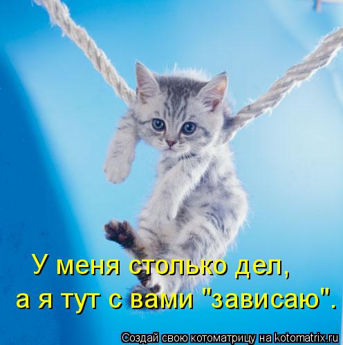 Котоматрица: У меня столько дел, а я тут с вами "зависаю".